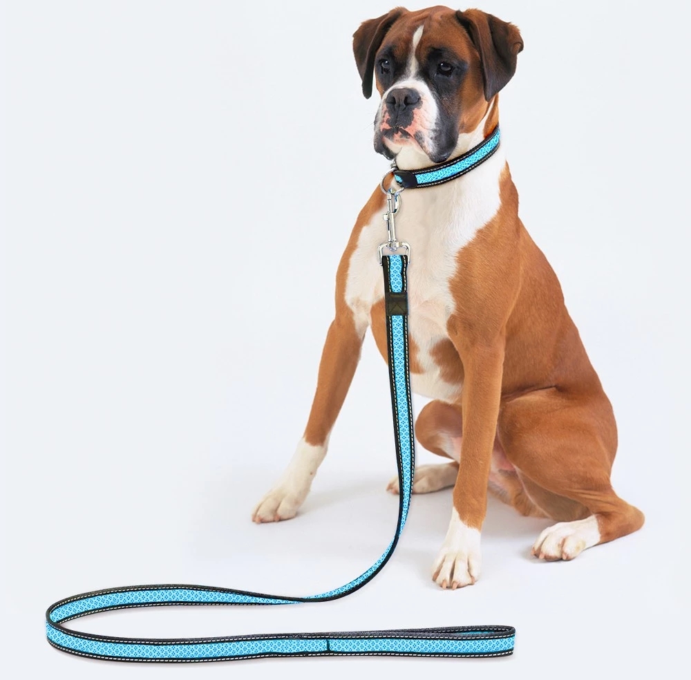 Dog leash Amazing Products
